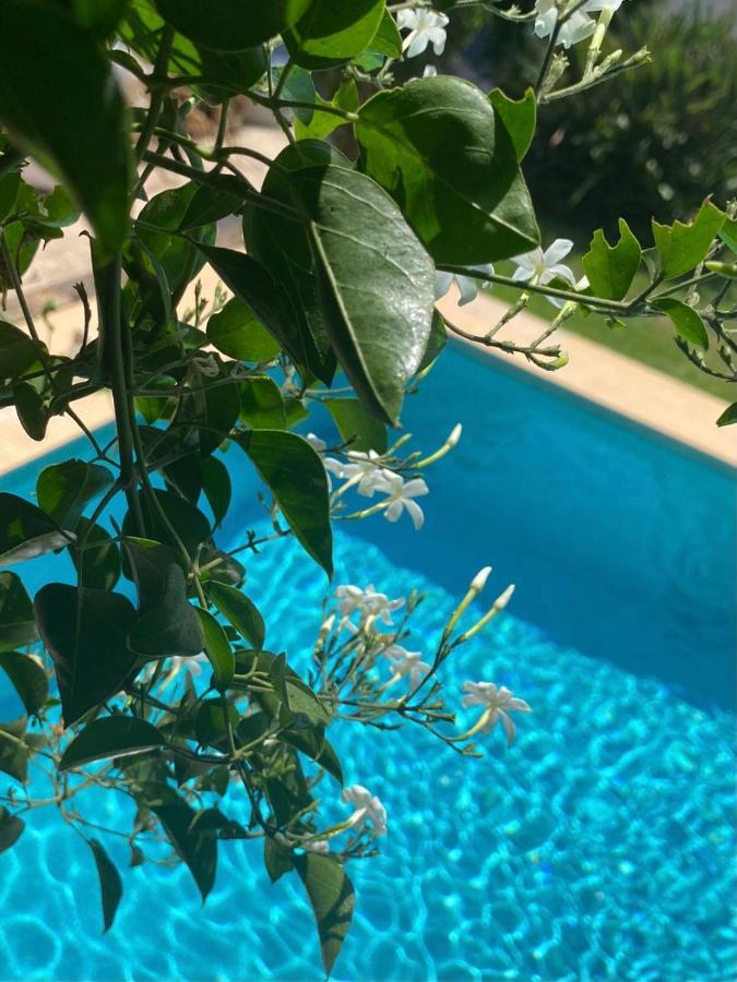 Beautiful Villa With Pool, Barbecue, And Garden Γιαβέα Εξωτερικό φωτογραφία